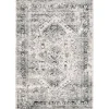 Shauna Vintage Speckled Area Rug, 10x14
