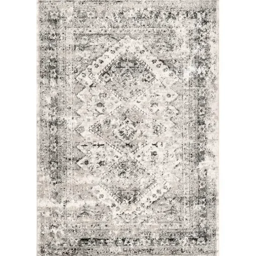 Shauna Vintage Speckled Area Rug, 8x10