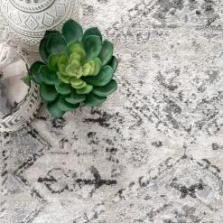 Shauna Vintage Speckled Area Rug, 8x10