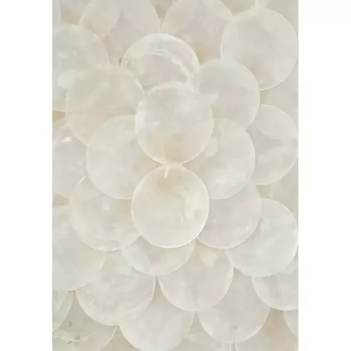 Shell Design Shadow Box 2-pc. Wall Art