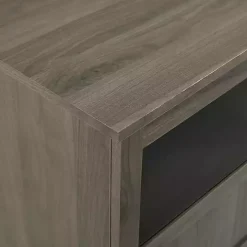 Slate Gray Glass Paneled Door TV Stand
