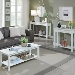 Slim White Single Drawer Console Table