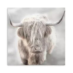Solo Highland Cow Canvas Art Print, 40x40
