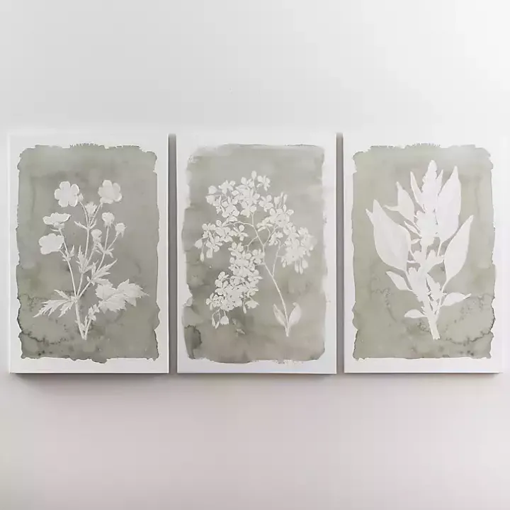 Springtime Bloom II Canvas Art Print