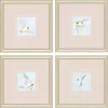 Swift Birds Framed Art Prints, Set of 4