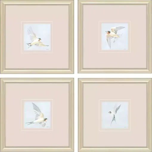 Swift Birds Framed Art Prints, Set of 4