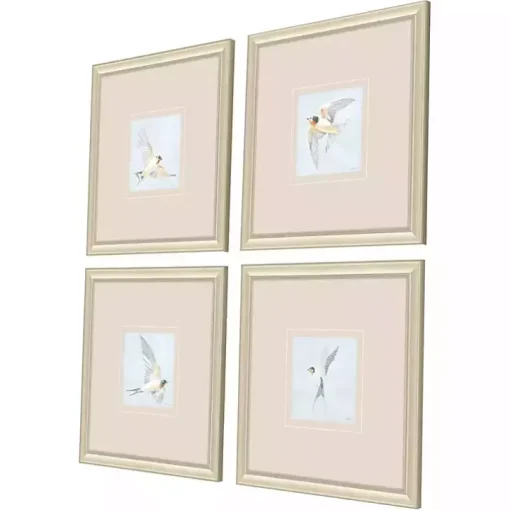 Swift Birds Framed Art Prints, Set of 4
