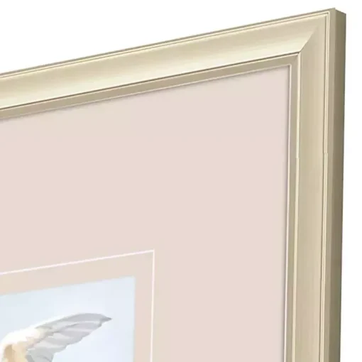 Swift Birds Framed Art Prints, Set of 4