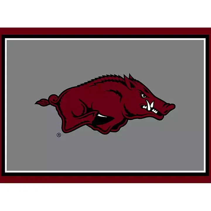 University of Arkansas Area Rug, 4x6