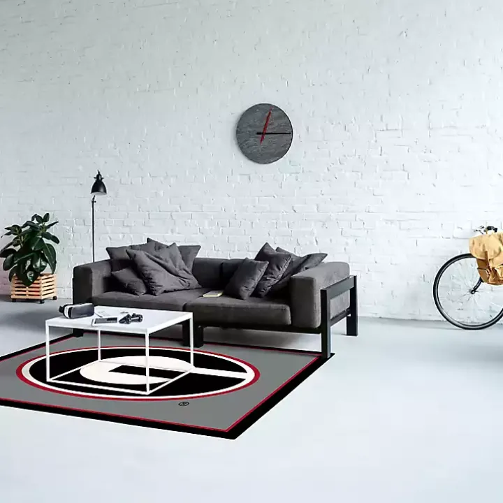 University of Georgia Area Rug, 4x6