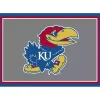 University of Kansas Area Rug, 4x6