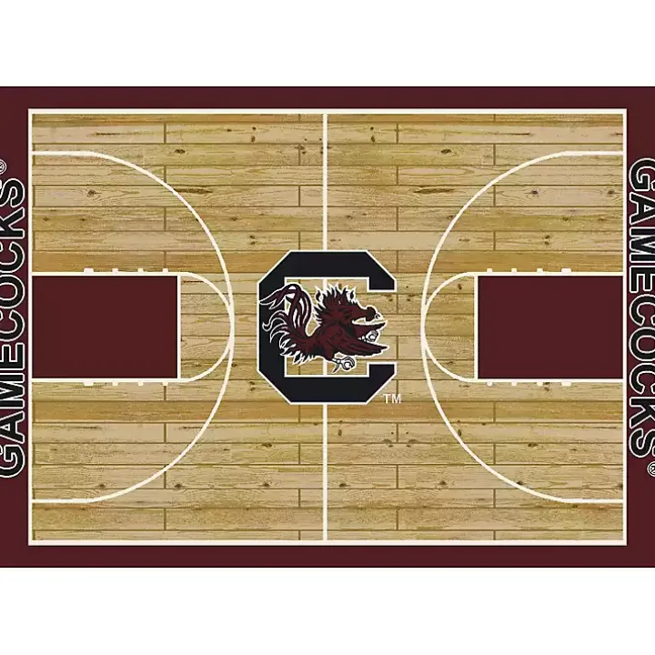 University of South Carolina Courtside Rug, 4x6