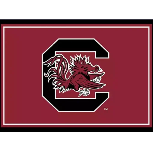 University of South Carolina Area Rug, 3x4