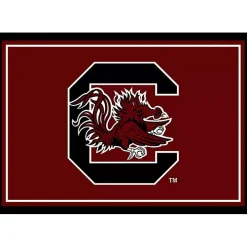 University of South Carolina Area Rug, 4x6