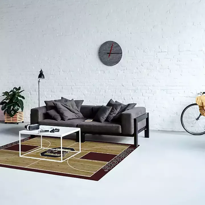 University of South Carolina Courtside Rug, 4x6