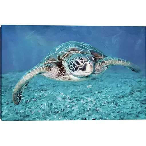 Vibrant Sea Turtle Canvas Art Print