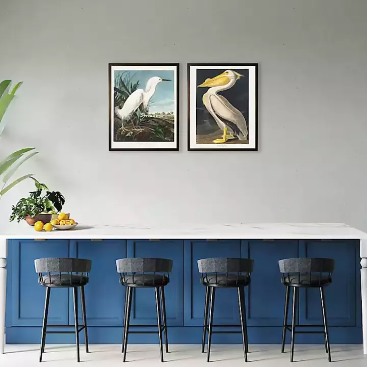 Vintage American White Pelican Framed Art Print