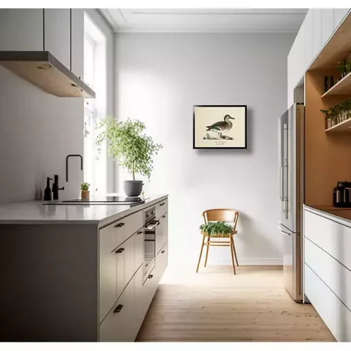 Vintage Common Teal Duck Framed Art Print