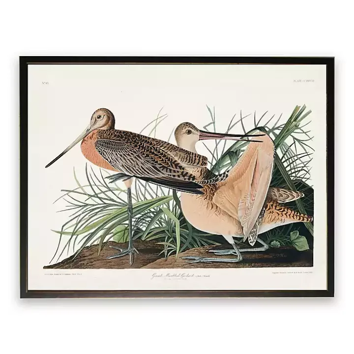 Vintage Great Marbled Godwit Framed Art Print
