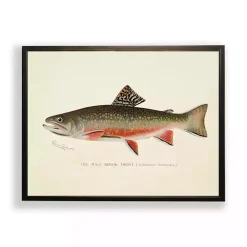 Vintage Male Book Trout Framed Art Print