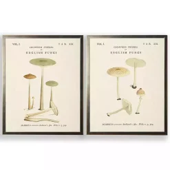 Vintage Mushrooms I Framed Art Prints, Set of 2