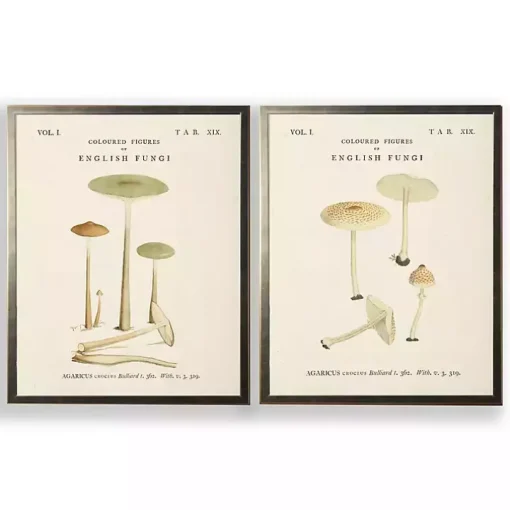 Vintage Mushrooms I Framed Art Prints, Set of 2