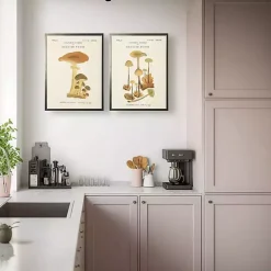 Vintage Mushrooms II Framed Art Prints, Set of 2