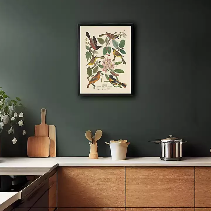 Vintage Oriole Birds Framed Art Print