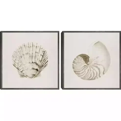 Vintage Shells Framed Canvas Art Prints, Set of 2