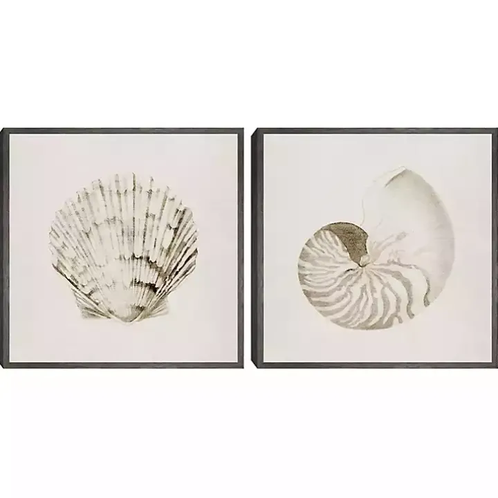 Vintage Shells Framed Canvas Art Prints, Set of 2