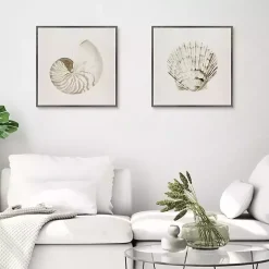 Vintage Shells Framed Canvas Art Prints, Set of 2