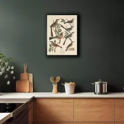 Vintage Thrush Birds Framed Art Print