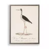 Vintage Waterbird Facing Left Framed Art Print