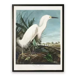 Vintage White Egret Bookplate Framed Art Print