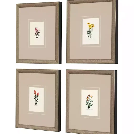 Western Wildflower Framed Art Prints, Set of
