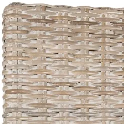 White Rattan Curved Legs Dining Chairs, Set of 2