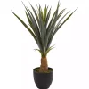 Agave in Planter, 30 in.