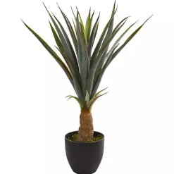 Agave in Planter, 30 in.