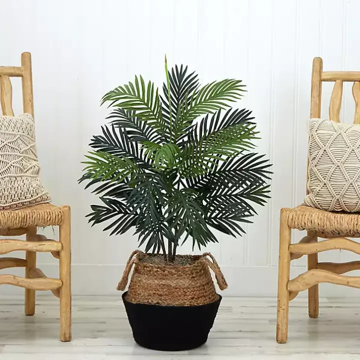 Areca Palm Tree in Woven Basket DIY Kit, 3 ft.