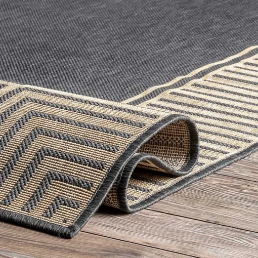 Asia Gray Stripe Border Outdoor Rug, 5x8
