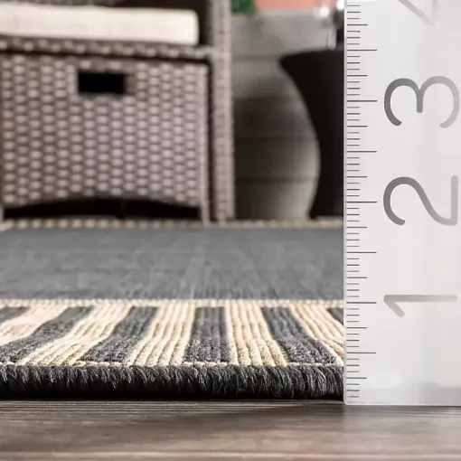 Asia Gray Stripe Border Outdoor Rug, 5x8