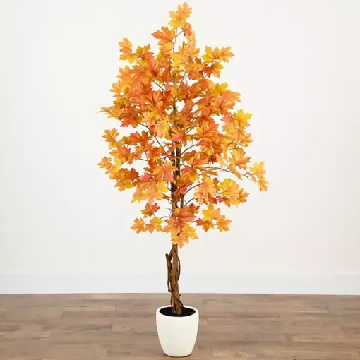 Autumn Maple Double Trunk Tree, 5 ft.