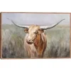 Big Sky Longhorn Framed Canvas Art Print
