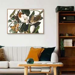 Black Billed Cuckoo Framed Canvas Art Print