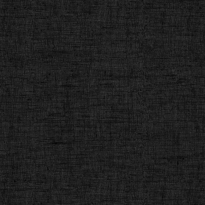 Black Leala Texture Outdoor Dining Chair Cushion