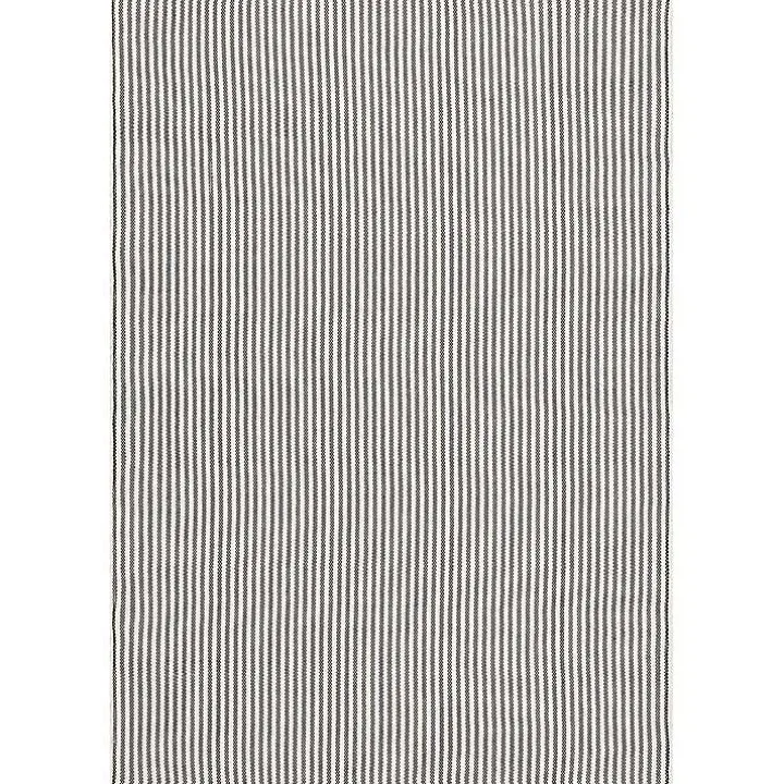 Blue & White Pinstripe Indoor/Outdoor Rug, 5x8