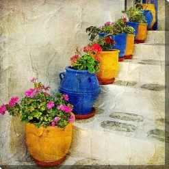 Bright Pots Outdoor Canvas Art Print