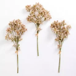 Brown Cymbidium Stems, Set of 3