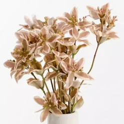 Brown Cymbidium Stems, Set of 3