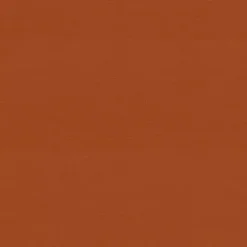 Burnt Orange Outdoor Chaise Cushion